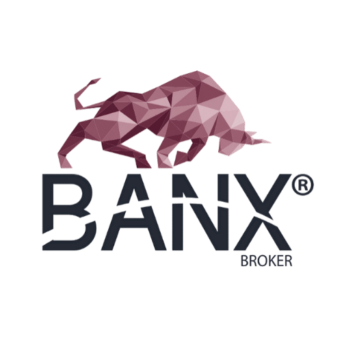 BANX_Logo1 (1)